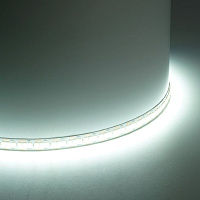 Светодиодная LED лента Feron LS617, 240SMD(2835)/м 19Вт/м 12V 5000*10*1.22мм 6500К, IP20 Артикул 48828 Светодиодная LED лента Feron LS617, 240SMD(2835)/м 19Вт/м 12V 5000*10*1.22мм 6500К, IP20 Артикул 48828