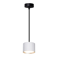 Светильник потолочный Feron Barrel HL4588 ARIA  levitation 12W, 230V, GX53, серебро + черный, на подвесе 1,7 м 51680 Светильник потолочный Feron Barrel HL4588 ARIA  levitation 12W, 230V, GX53, серебро + черный, на подвесе 1,7 м 51680