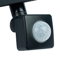 Светодиодный прожектор SAFFIT с выносным датчиком SFL80-30 IP65 30W 6400K черный 29523