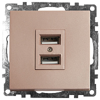 Розетка USB 2-местная (механизм), STEKKER GLS10-7115-02, 250B, 2,1A, серия Катрин, шампань 39602 Розетка USB 2-местная (механизм), STEKKER GLS10-7115-02, 250B, 2,1A, серия Катрин, шампань 39602