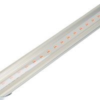 Лампа светодиодная для растений T8 Feron LB-7063 G13 0,6м 11W 175-265V красно-синий спектр пластик 38278 Лампа светодиодная для растений T8 Feron LB-7063 G13 0,6м 11W 175-265V красно-синий спектр пластик 38278