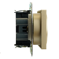 GLS10-7113-08 Розетка 2-местная с защитной шторкой (механизм) б/з, 250В, 10А, серия Катрин, золото 49225 GLS10-7113-08 Розетка 2-местная с защитной шторкой (механизм) б/з, 250В, 10А, серия Катрин, золото 49225