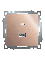 Розетка 2-местная USB + type C (механизм), STEKKER GLS10-7116-02, 250B, 3A, max 20W, серия Катрин, шампань 50056 Розетка 2-местная USB + type C (механизм), STEKKER GLS10-7116-02, 250B, 3A, max 20W, серия Катрин, шампань 50056