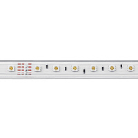 Cветодиодная LED лента Feron LS706, 60SMD(5050)/м 11Вт/м  50м 220V RGB IP65 Cветодиодная LED лента Feron LS706, 60SMD(5050)/м 11Вт/м  50м 220V RGB IP65