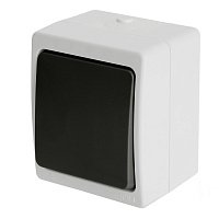 Выключатель 1-клавишный STEKKER, PSW10-111-54, открытой установки, 250В, 10А, IP54, серый/графит 32752