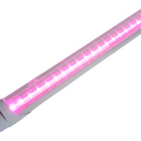 Лампа светодиодная для растений T8 Feron LB-7063 G13 0,6м 11W 175-265V красно-синий спектр пластик 38278 Лампа светодиодная для растений T8 Feron LB-7063 G13 0,6м 11W 175-265V красно-синий спектр пластик 38278