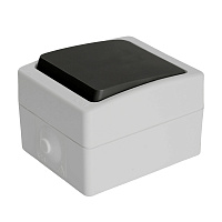 Выключатель 1-клавишный STEKKER, PSW10-111-54, открытой установки, 250В, 10А, IP54, серый/графит 32752